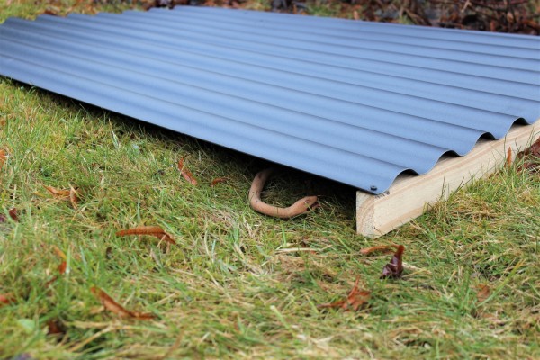 Schlangenunterschlupf/ Reptilien- und Schlangenplatten (PVC) GTH-SU